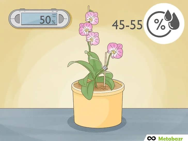سطح رطوبت ارکیده