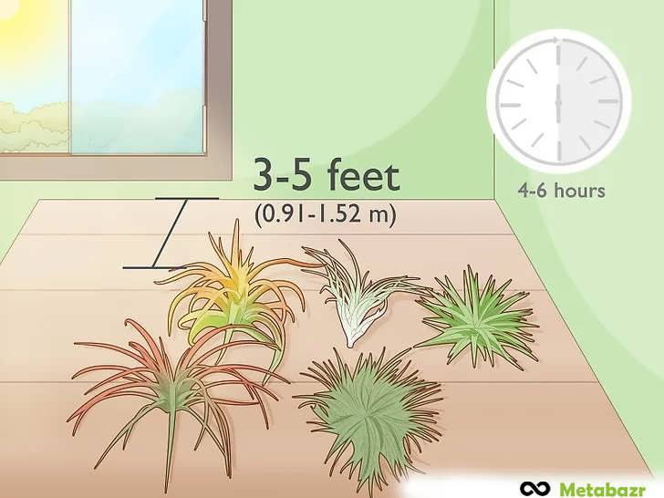 فراهم کردن ۴ تا ۶ ساعت نور روشن