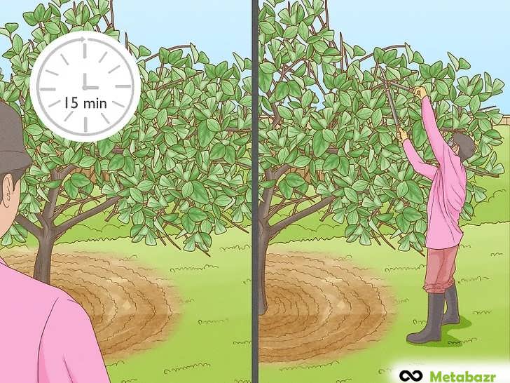 هر چند دقیقه یک بار عقب بایستید تا کار خود را ارزیابی کنید