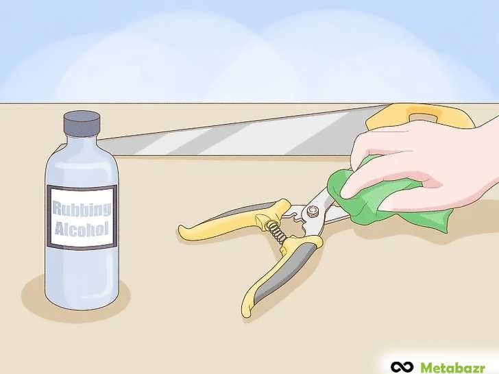 ضدعفونی کردن ابزار