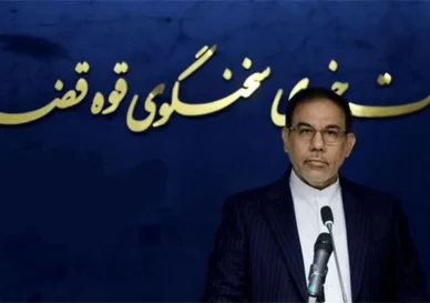 ساعدی‌نیا بازداشت و تمام اموال وی مصادره شد